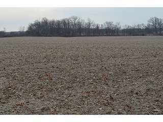 Property photo 17 - LAND AUCTION, 77 Acres offered in 3 Tracts